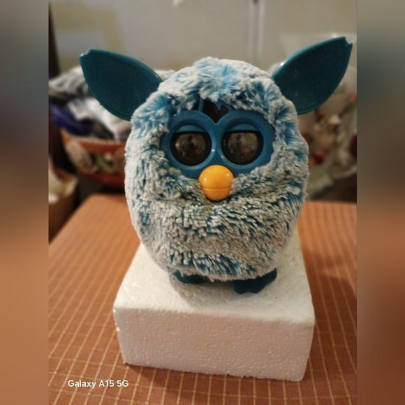 Meet your Posher, Winifred - Picture 4 of 5